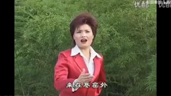 秦腔《兴汉图 潼关》太感人